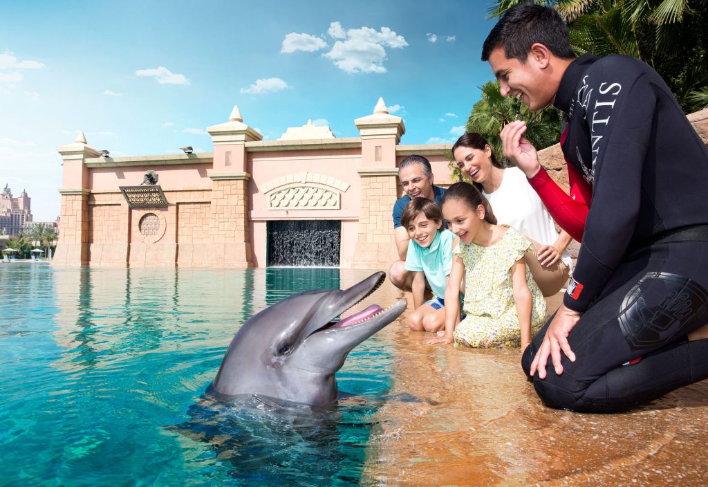 Dolphin encounter