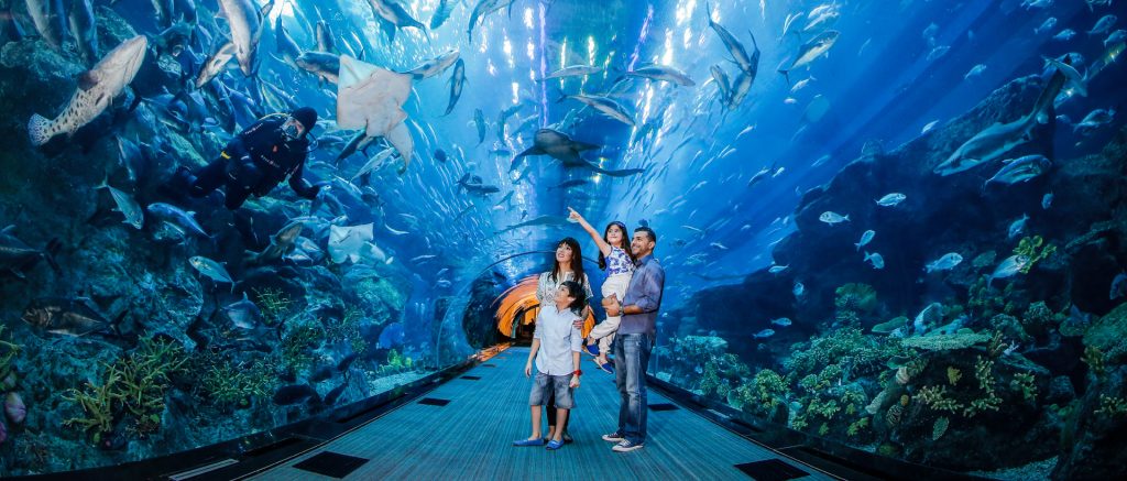 Dubai Mall Aquarium