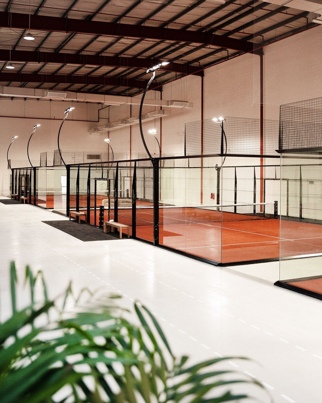 List of Indoor Padel Tennis Courts in Dubai – Top Spots Dubai ...